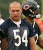 brian urlacher image