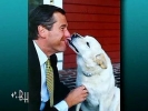 brian williams picture