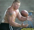 brock lesnar picture