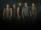 bronson pelletier image3