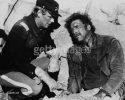 bruce davison photo