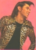 bryan ferry picture4