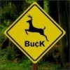 buck pic