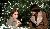 bud cort image1