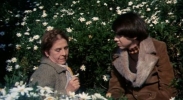 bud cort image3