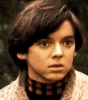 bud cort picture2