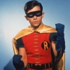 burt ward image3