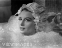 capucine picture2