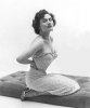 carol brewster picture