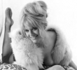 carol white pic1