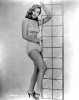 carolyn mitchell photo