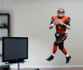 carson palmer image