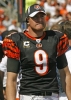carson palmer image4