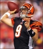 carson palmer img