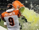 carson palmer photo