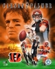 carson palmer pic
