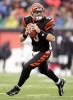 carson palmer pic1