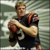 carson palmer picture