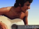 cat stevens img