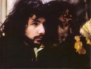 cat stevens picture4