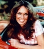 catherine bach picture1
