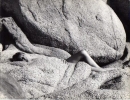 catherine spaak picture1