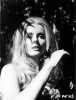 celeste yarnall photo celeste yarnall photo