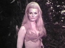 celeste yarnall photo1 celeste yarnall photo1