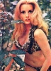 celeste yarnall photo2 celeste yarnall photo2