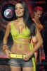 celina jaitley image