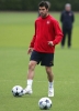 cesc fabregas photo