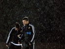 cesc fabregas picture4