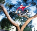 chad muska img