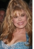 charo image1 charo image1