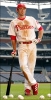 chase utley image