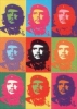 che guevara image3