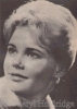 cheryl holdridge img
