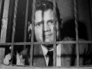 chet baker image