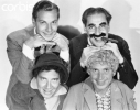 chico marx picture2