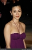 china chow image1