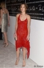 china chow pic