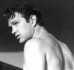 chris isaak image