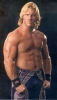 chris jericho picture3 chris jericho picture3