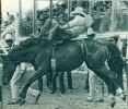 chris ledoux picture