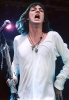 chris robinson image2