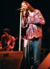 chris robinson picture1