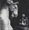 chrissie shrimpton image3