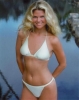 christie brinkley picture2
