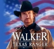 chuck norris picture3