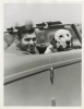 clark gable photo